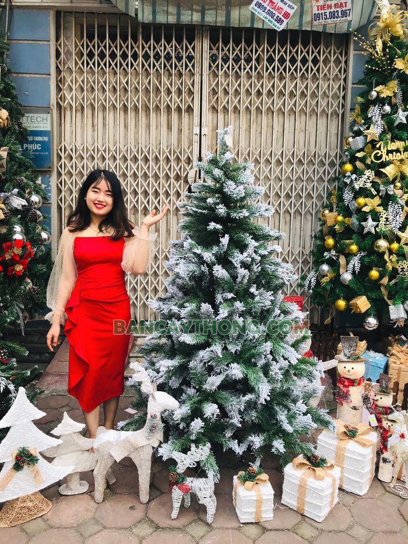 Mẫu trang trí decor tiểu cảnh noel HOT cho gia đình 29.10.2023