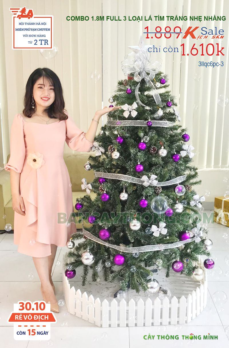 mua cây thông noel cho sảnh khách sạn 30.10.2023