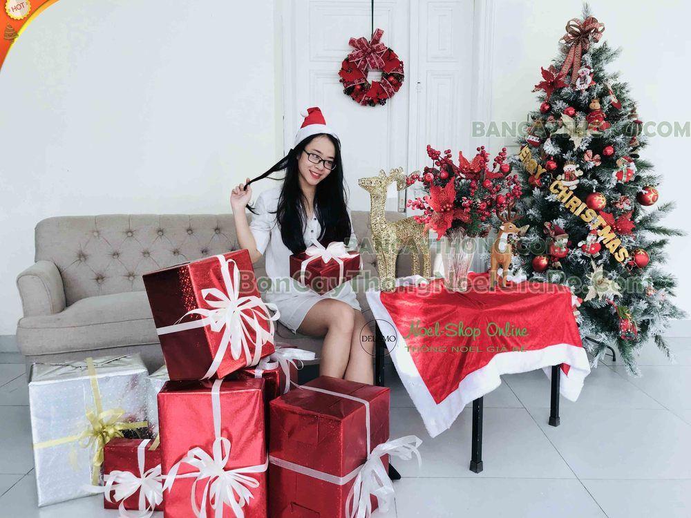 mua cây thông noel cho khu vui chơi ngoài trời 30.10.2023