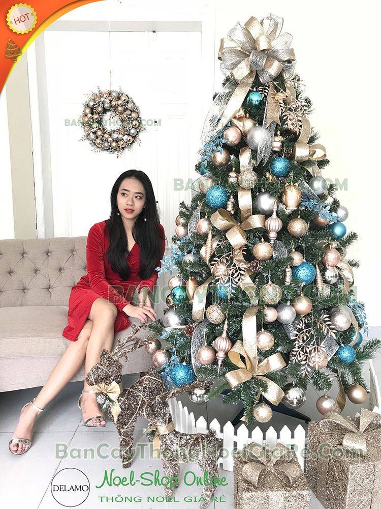 cách chọn phụ kiện cho cây thông noel văn phòng 30.10.2023