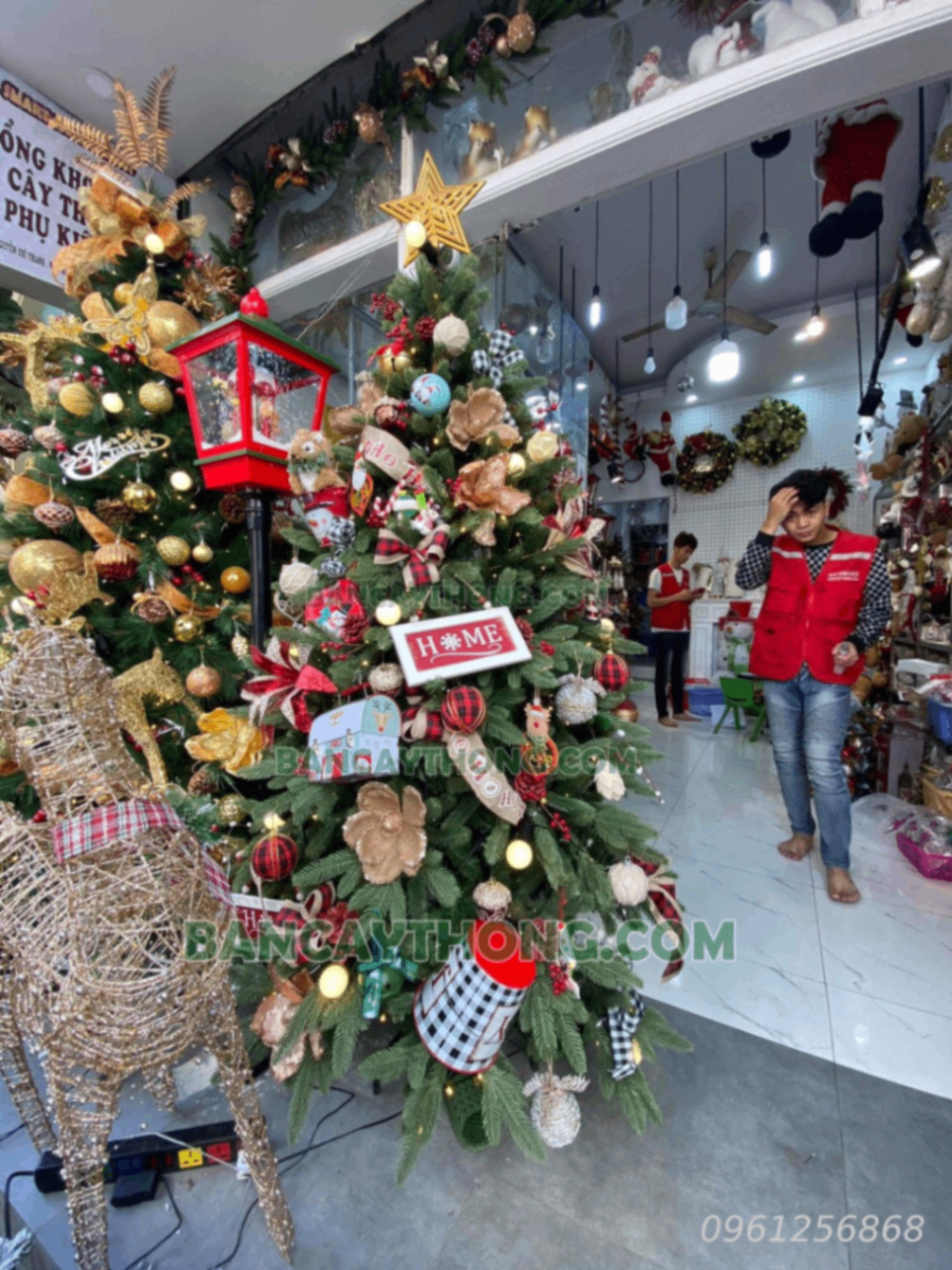 Cây Thông Noel 2024 | Phụ Kiện Trang Trí Noel 2024 0961256868