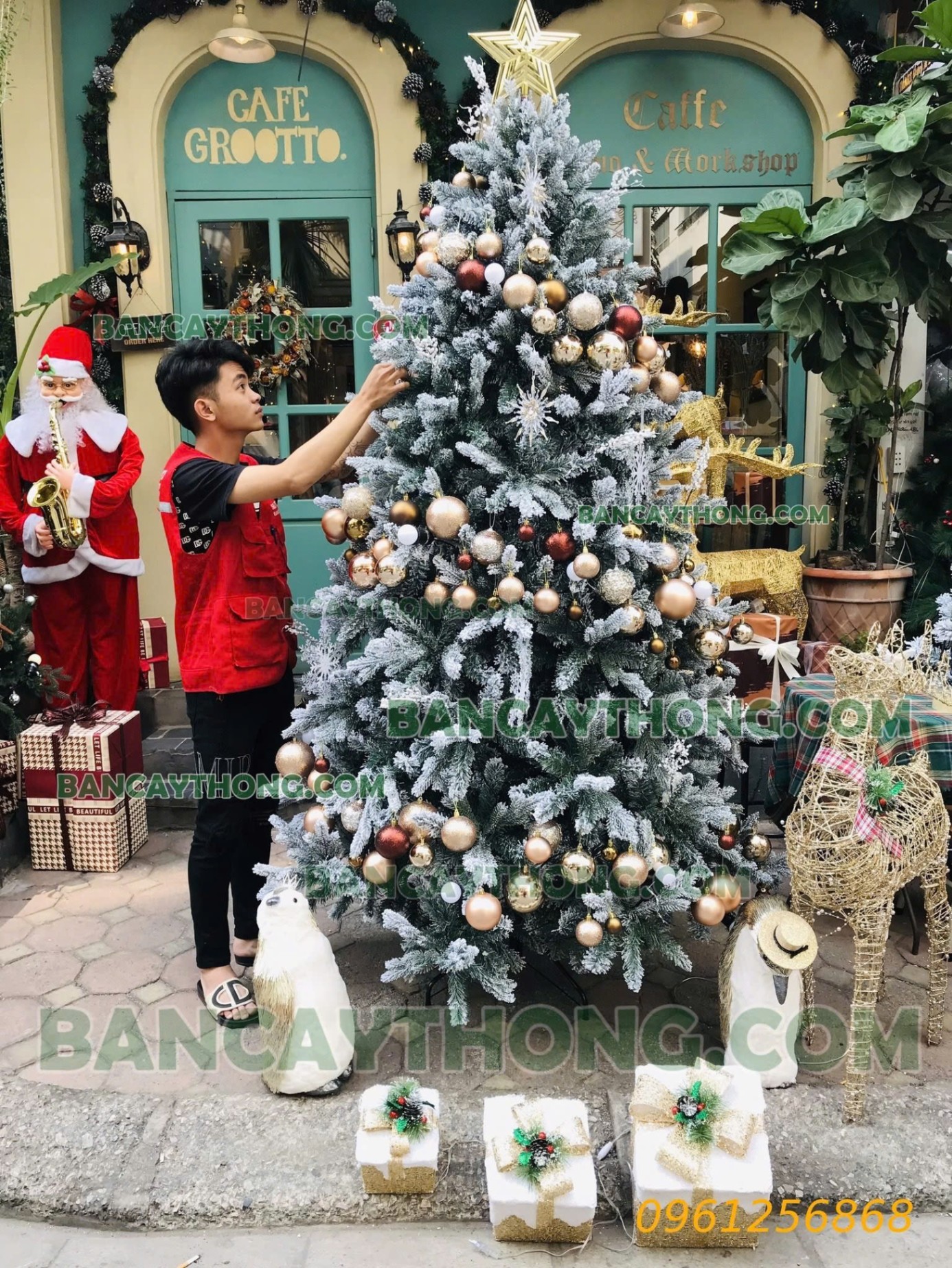 Cây Thông Noel mẫu mới 2024, giá tốt từ nhà cung cấp uy tín 0961256868