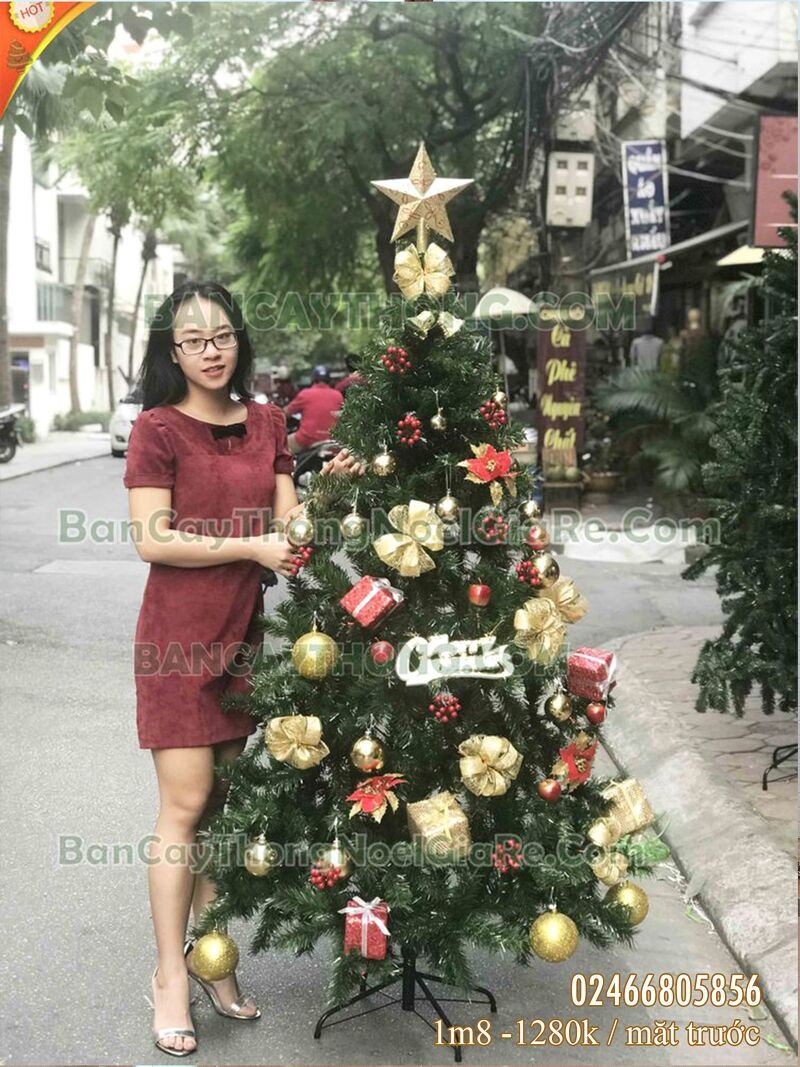 Cây thông Noel như cây thật, 100%PE, loại cao cấp LH 0989658948 14.10