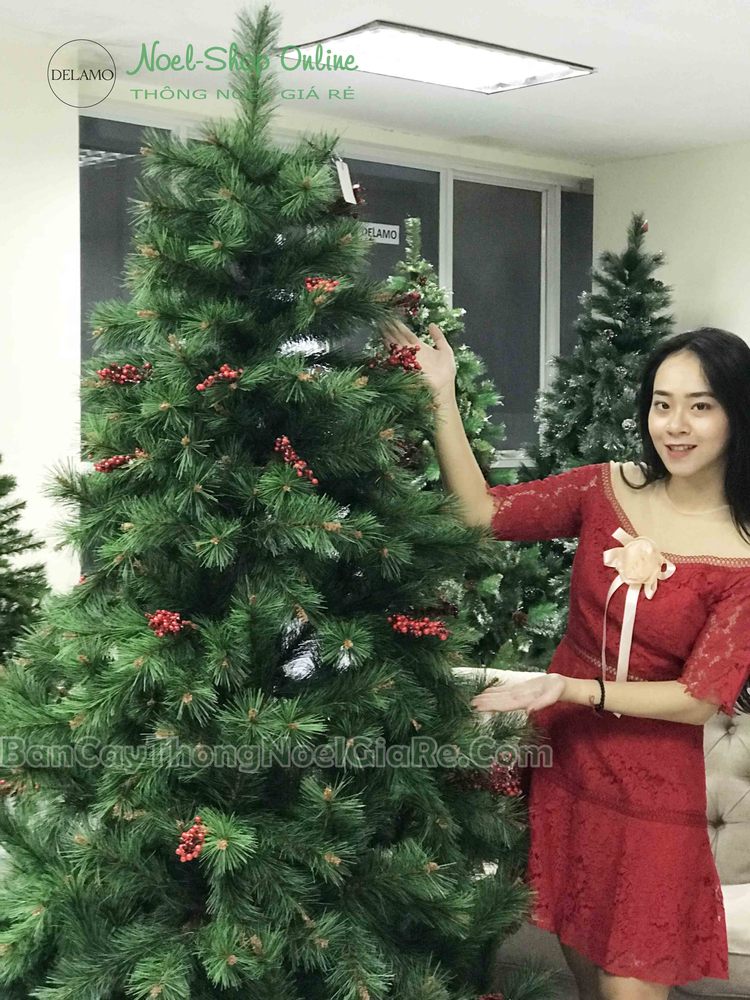 Cây thông noel cước đầu vàng YHN xuất EU cao 2m