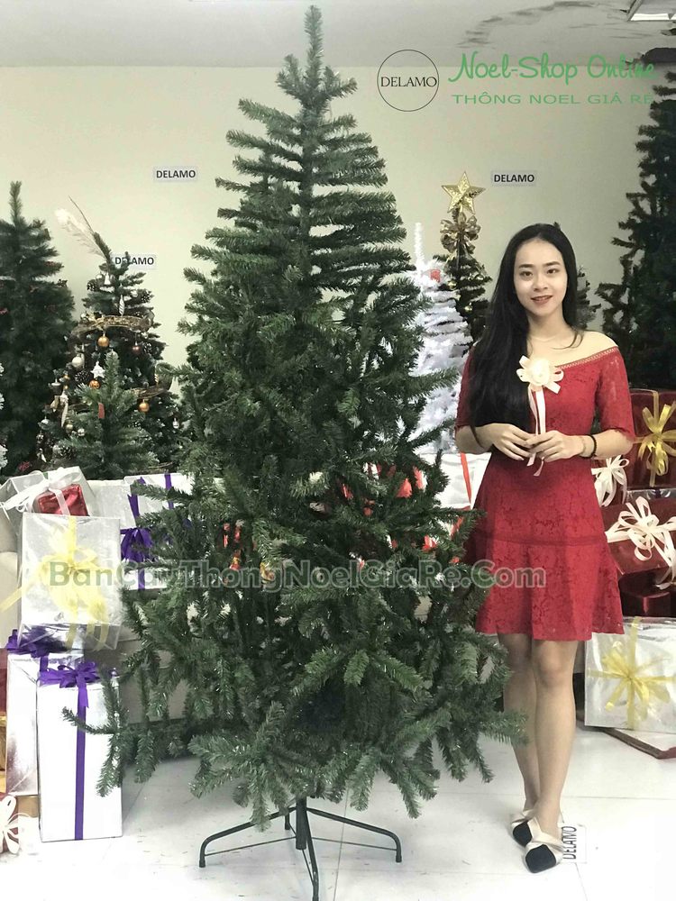 Cây thông noel xanh trơn 2.1m