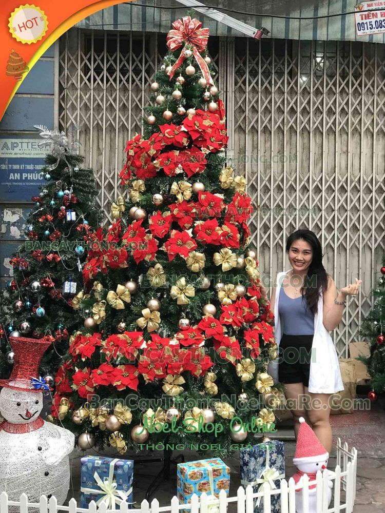 Cây thông noel 3m hoàng gia Thanh Phương DELAMO