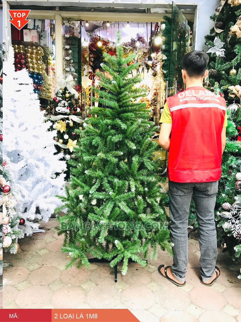 Cây thông noel 1m8 2 lá phun đầu trắng dày đẹp SG