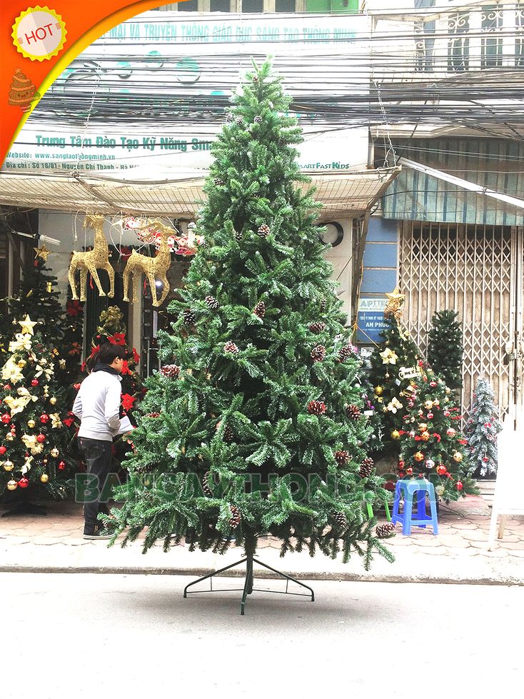 Cây thông noel cao 3m6  hàng Changchiia 3 loại lá trái thông giá mua gom