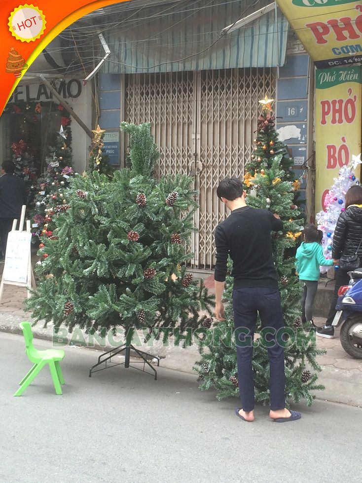 Cây thông noel cao 3m6  hàng Changchiia 3 loại lá trái thông giá mua gom