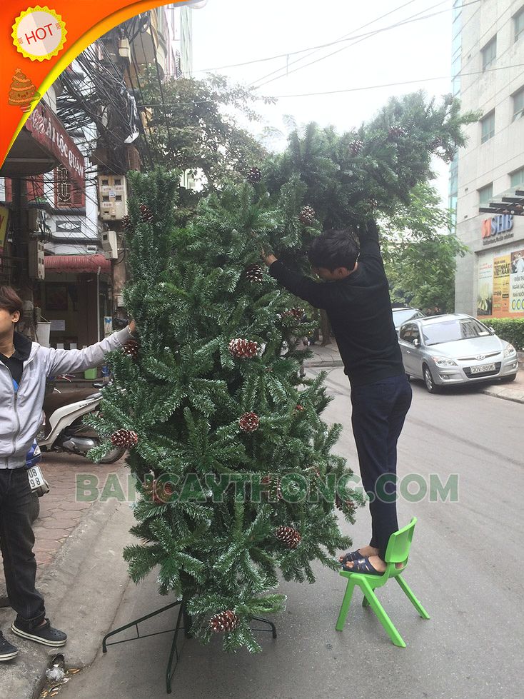 Cây thông noel cao 3m6  hàng Changchiia 3 loại lá trái thông giá mua gom