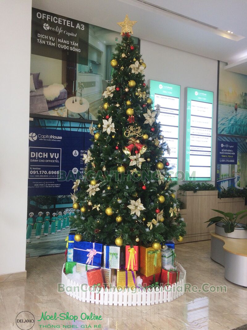 Cây thông noel cao 3m6  hàng Changchiia 3 loại lá trái thông giá mua gom