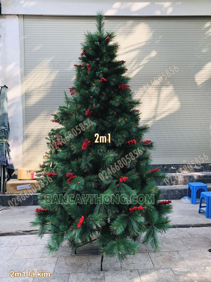 Cây thông noel cước đầu vàng YHN xuất EU cao 2m