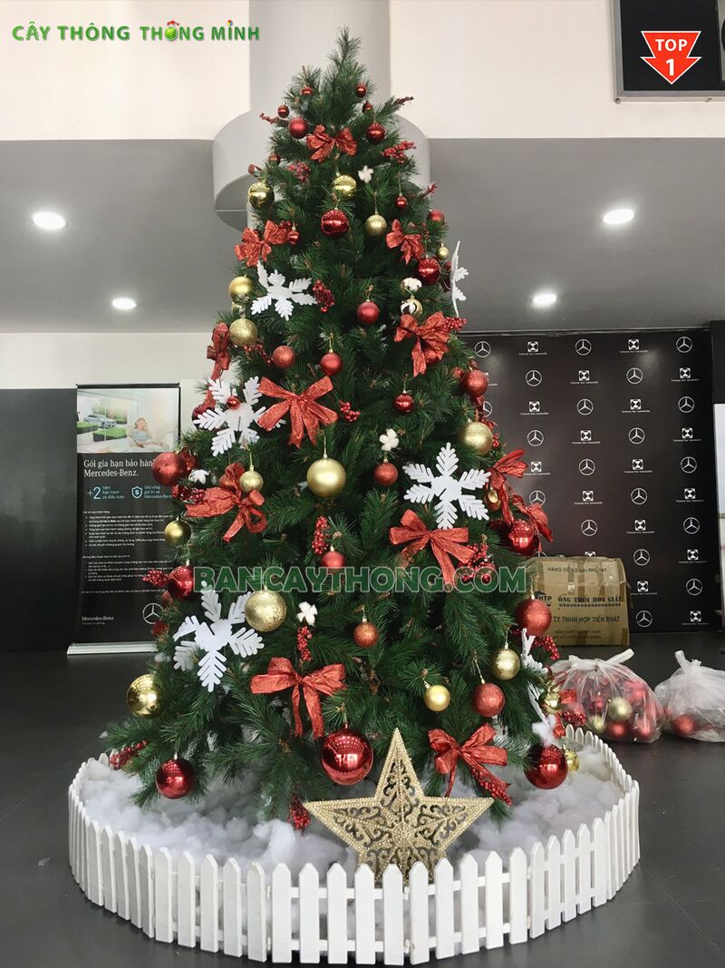 Cây thông noel cước đầu vàng YHN xuất EU cao 2m