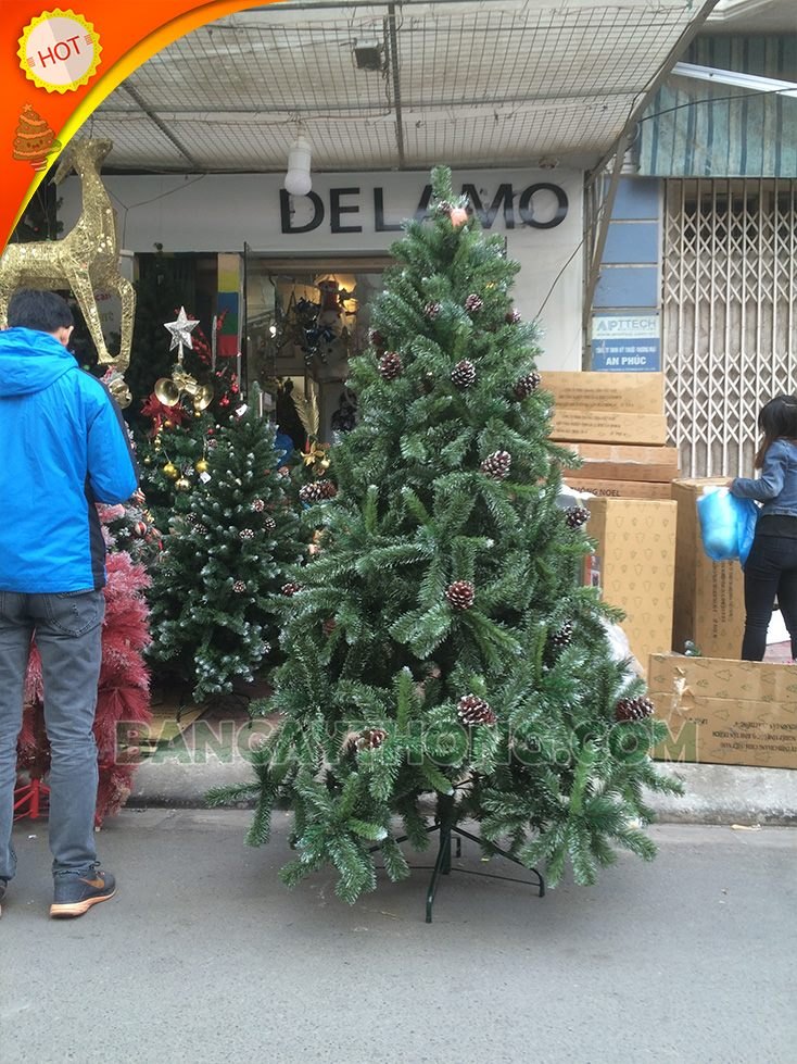 cây thông noel 3 lá SG trái thông cao 2m