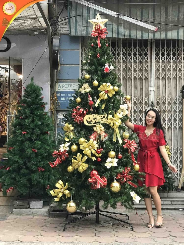 Cây thông noel 3 loại lá SG cao 3m gắn trái thông