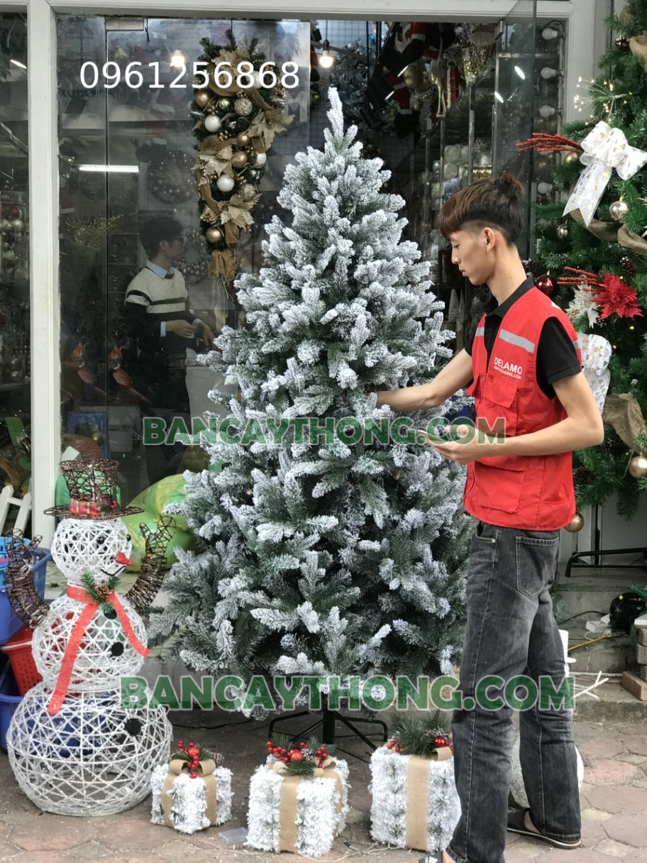 Cây thông noel phủ tuyết PE 1 cao  2m4