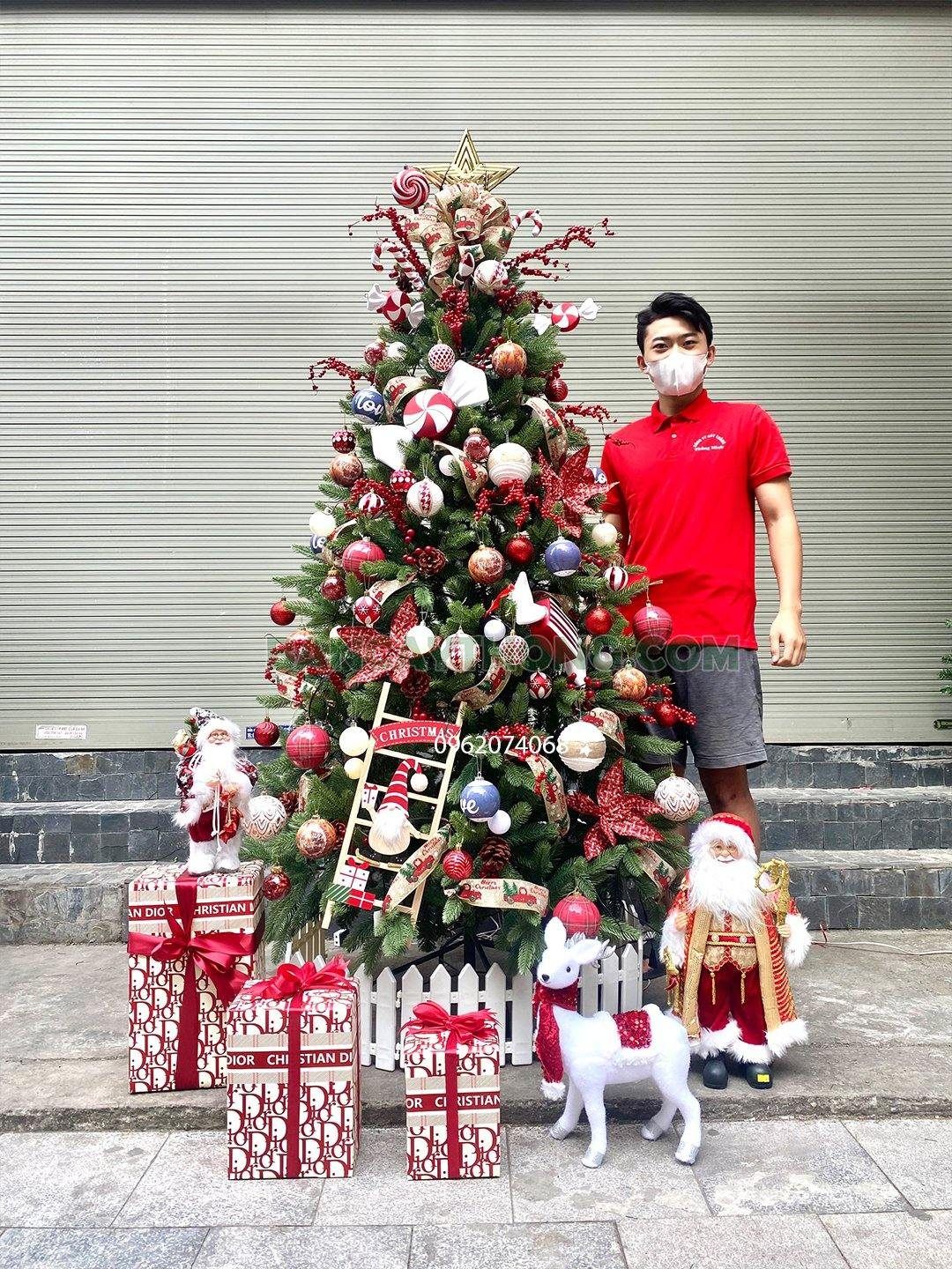 cây thông noel