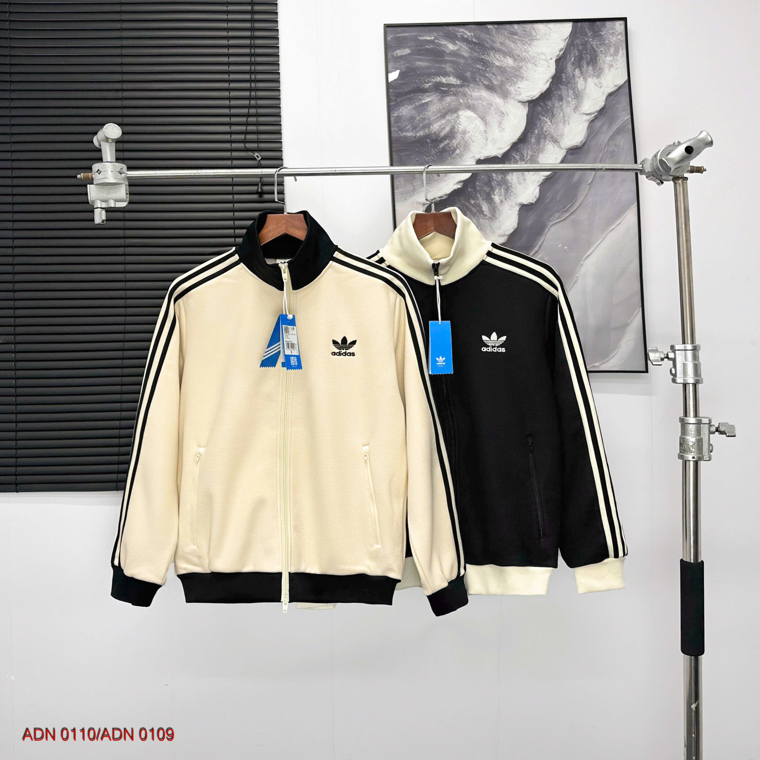 ADN 0110/0109