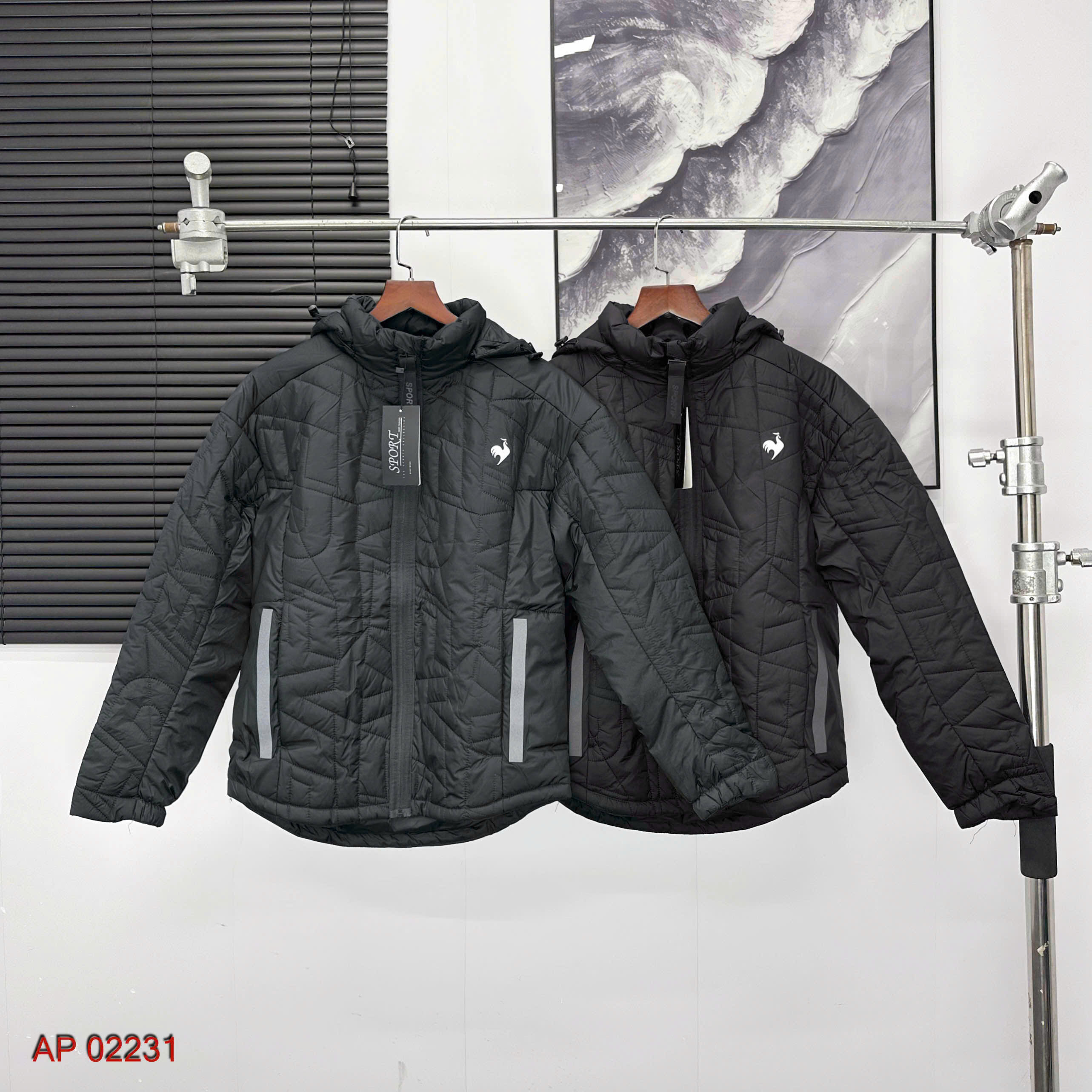 AP 02231