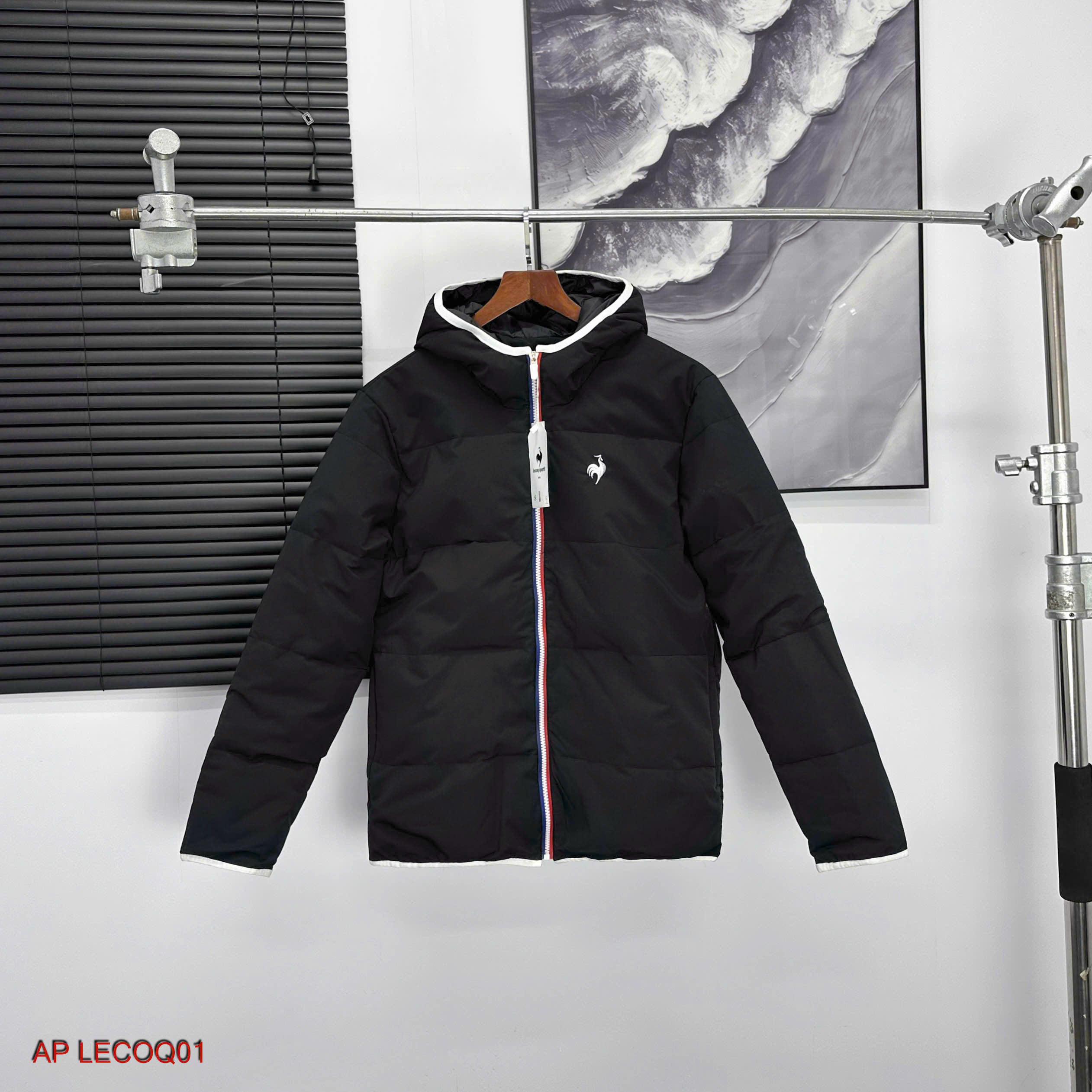 AP LECOQ01