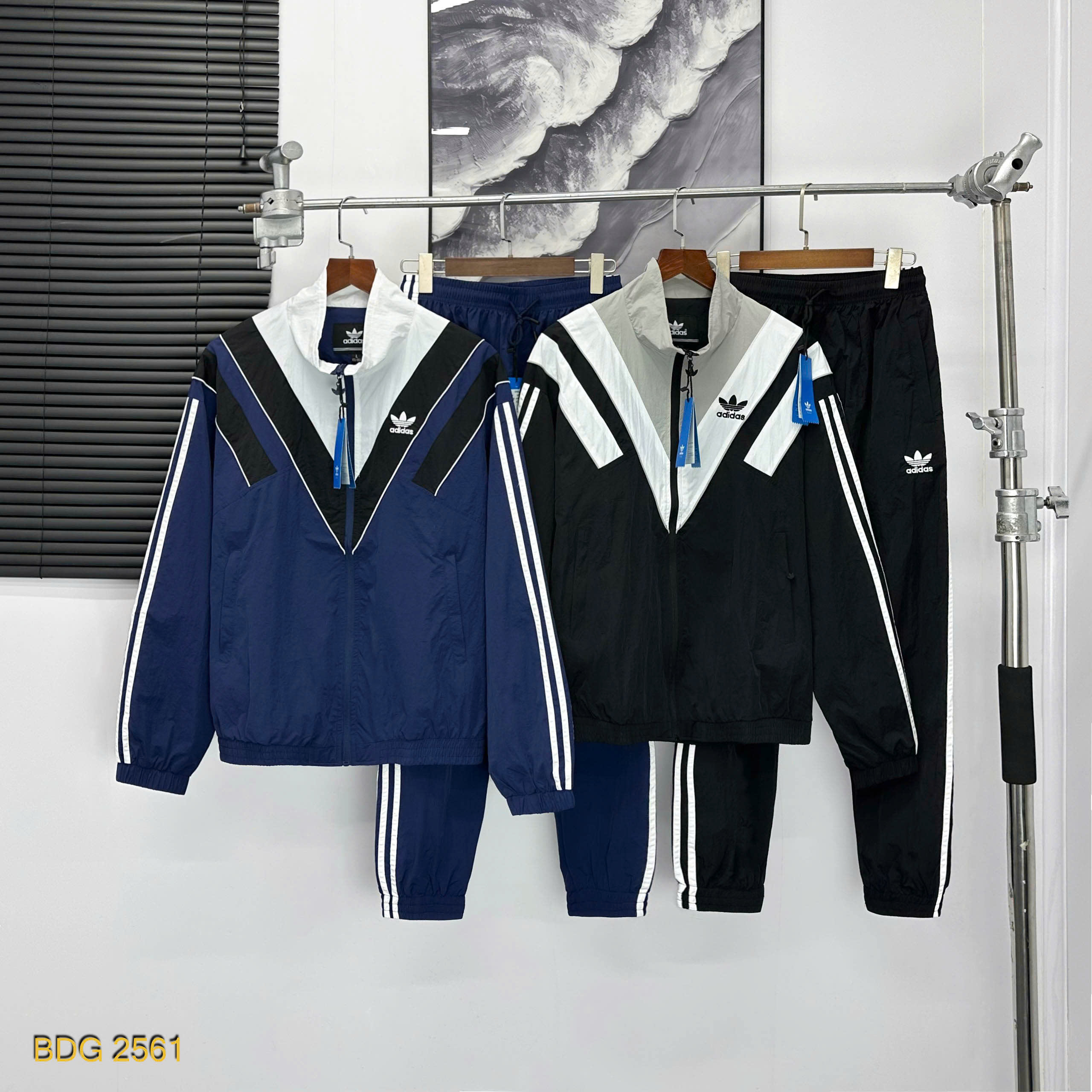 BDG 2561
