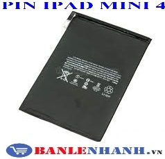 PIN IPAD MINI 4