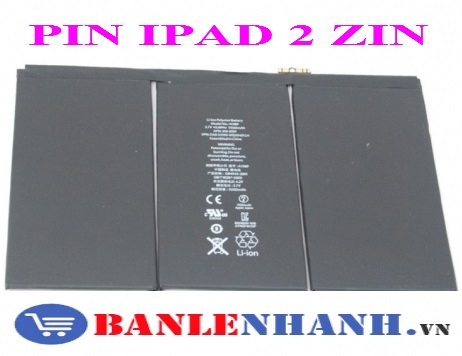 PIN IPAD 2 ZIN