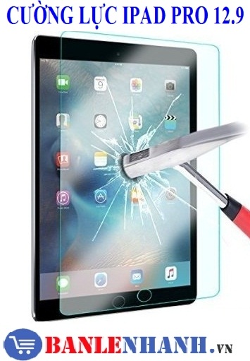 CƯỜNG LỰC IPAD PRO 12.9