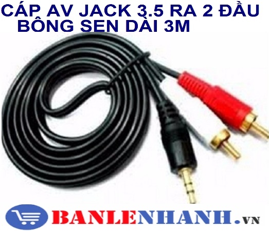 CÁP AV JACK 3.5 RA 2 ĐẦU BÔNG SEN DÀI 3M