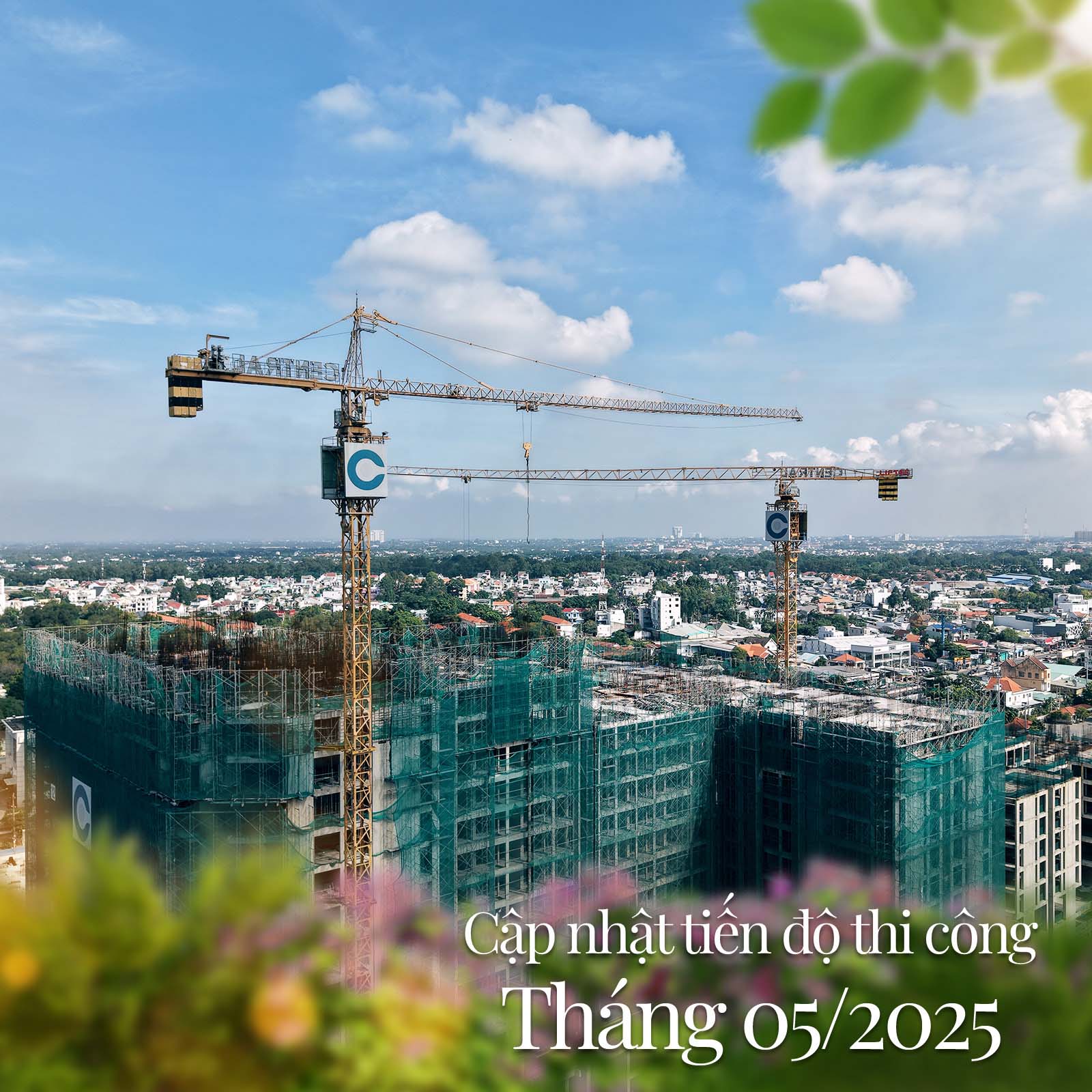 20250529_WIMDIEVU.jpg