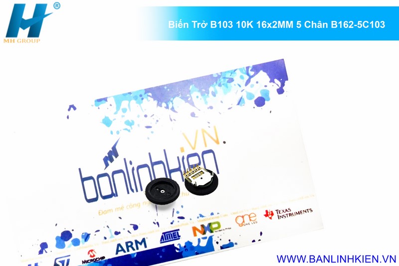 Biến Trở B103 10K 16X2MM 5 Chân B162-5C103