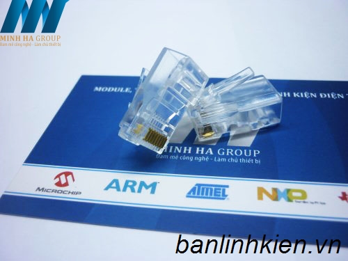 Đầu Jack RJ45