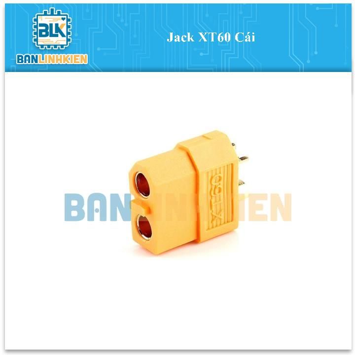 Jack XT60 Cái