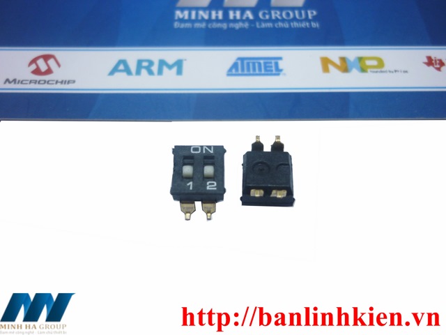 Công Tắc Bít 2P SMD