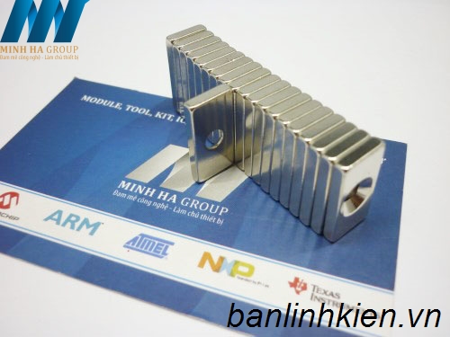 Nam Châm F20x10+3MM NC002
