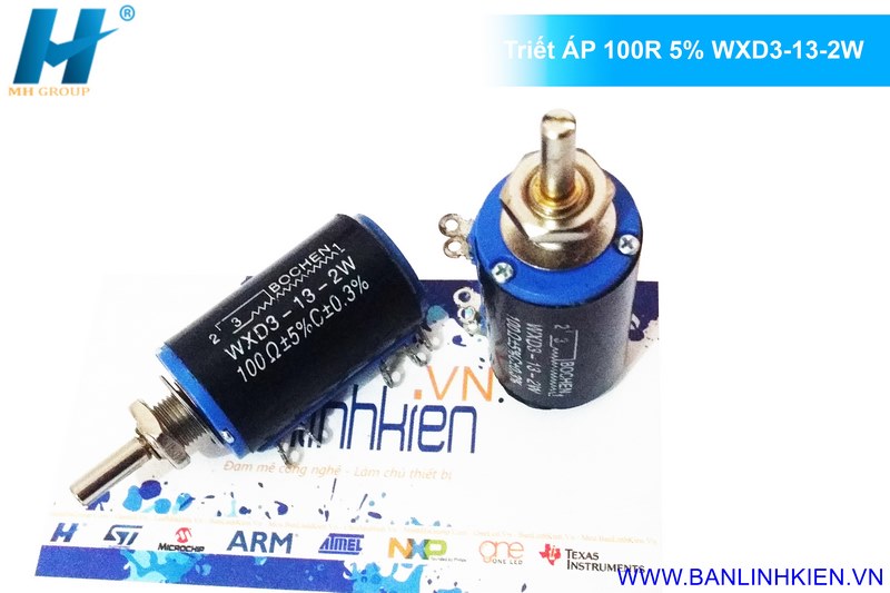 Triết ÁP 100R 5% WXD3-13-2W