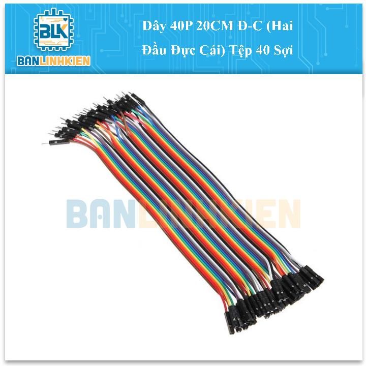 Dây 40P 20CM Đ-C (Hai Đầu Đực Cái) Tệp 40 Sợi