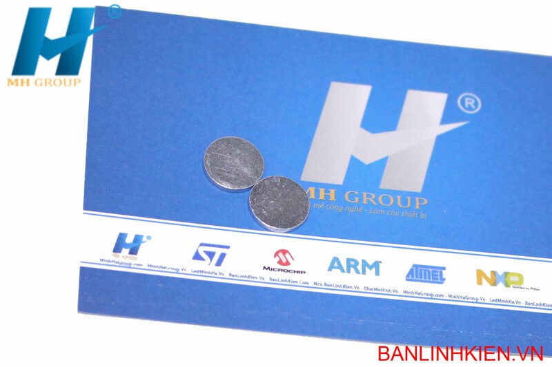 Nam Châm 10x1MM NC001