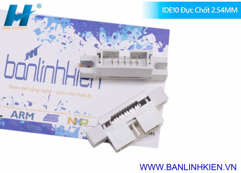 IDE10 Đực Chốt 2.54MM