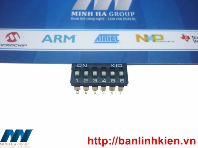 Công Tắc Bít 6P SMD