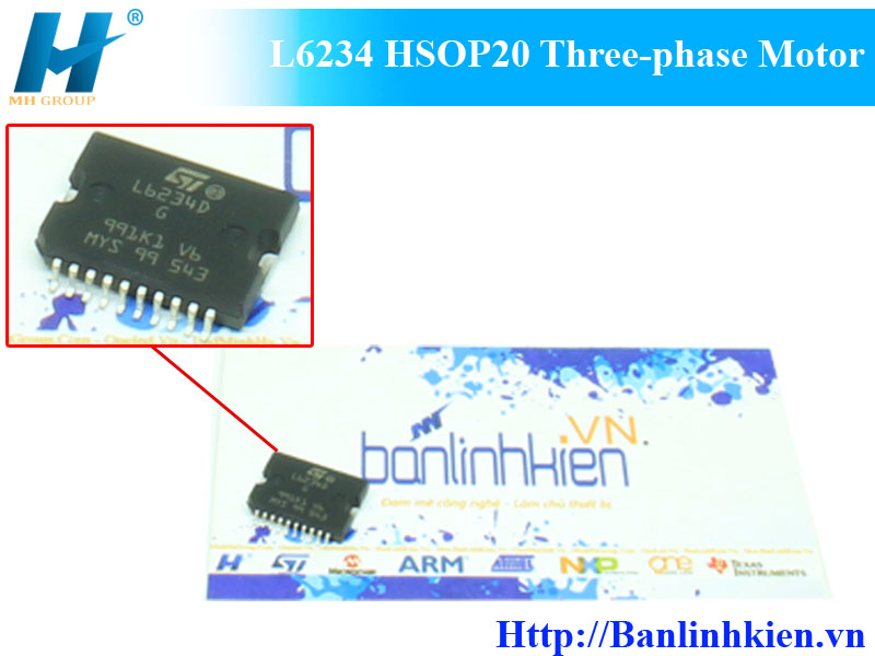 L6234 HSOP20 Three-phase Motor