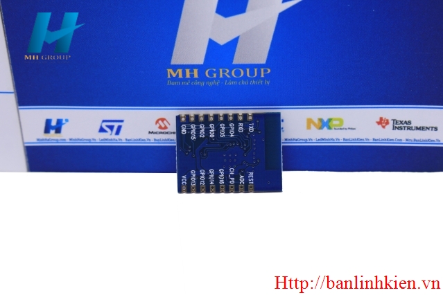 Module Wifi ESP8266 ESP-07