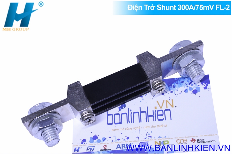 Điện Trở Shunt 300A/75mV FL-2