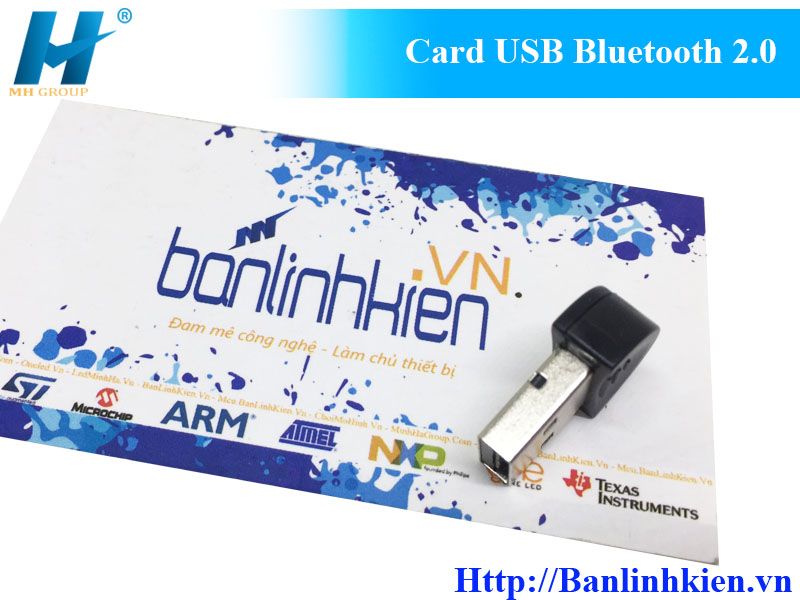 Card USB Bluetooth 2.0