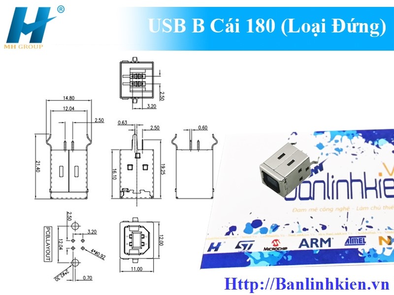 USB B Cái 180 (Loại Đứng)