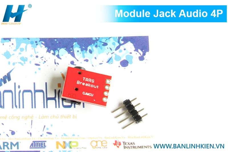 Module Jack Audio 4P