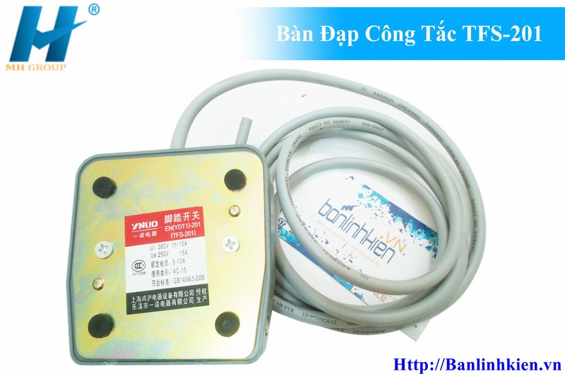 Bàn Đạp Công Tắc TFS-201