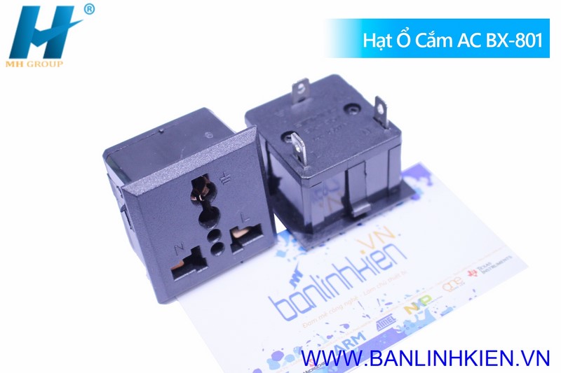 Hạt Ổ Cắm AC 13A 250V