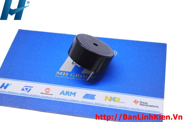 Còi Thạch Anh SFM-20-C DC3-24V