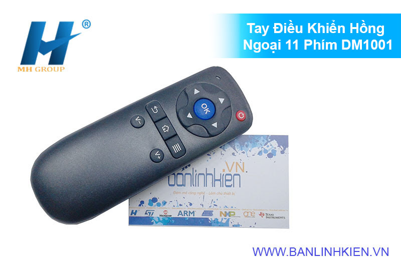 Tay Điều Khiển Hồng Ngoại 11 Phím DM1001